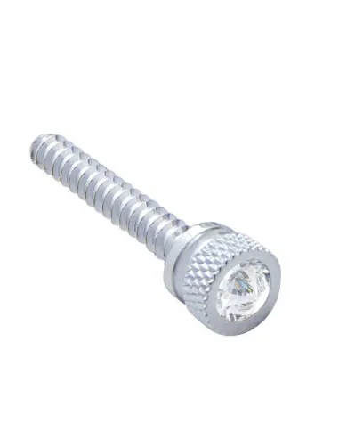 UP24053-Chrome Long Dash Screw With Clear Crystal For Freightliner (2-Pack)