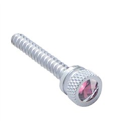 UP24055-Chrome Long Dash Screw With Purple Crystal For Freightliner (2-Pack)