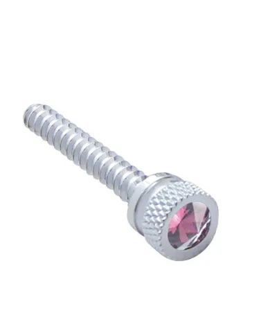 UP24055-Chrome Long Dash Screw With Purple Crystal For Freightliner (2-Pack)