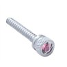 UP24055-Chrome Long Dash Screw With Purple Crystal For Freightliner (2-Pack)