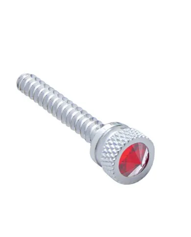 UP24056-Chrome Long Dash Screw With Red Crystal For Freightliner (2-Pack)