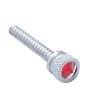 UP24056-Chrome Long Dash Screw With Red Crystal For Freightliner (2-Pack)
