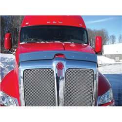 UP29006-430 Stainless Steel Bug Shield For 2011+ Kenworth T700