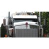 UP29010-430 Stainless Steel Bug Shield For Kenworth W900B