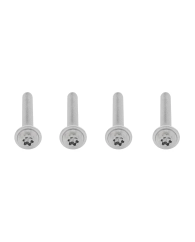 (CARD) FREIGHTLINER CASCADIA GRILL SCREW SET - CHROME FINISH (CARD) FREIGHTLINER CASCADIA GRILL SCREW SET - CHROME FINISH