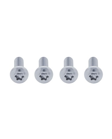 (CARD) FREIGHTLINER CENTURY GRILL SCREW SET - CHROME FINISH (CARD) FREIGHTLINER CENTURY GRILL SCREW SET - CHROME FINISH