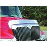 UP29017-430 Stainless Steel Bug Shield For 2002+ International 4000 Series