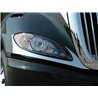UP29070-Stainless International ProStar Fender Guards