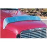 UP29091-430 Stainless Steel Bug Shield For 2005-2010 Freightliner Century