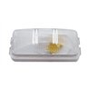 UP30143-Rectangular Utility Light (Clearance/Marker) - Clear