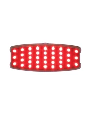 (CARD) 39 RED LED RETRO S/T/T LIGHT - CLEAR LENS
