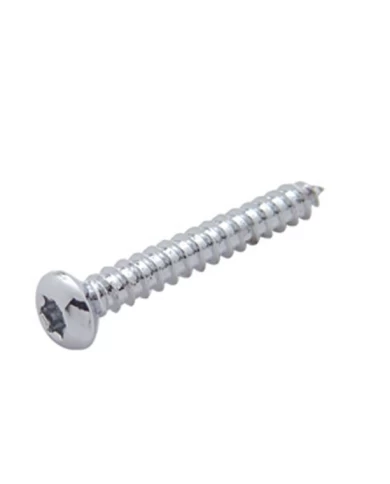 (BULK) CHROME STAINLESS STEEL KENWORTH SPEAKER COVER MOUNTING SCREW (BULK) CHROME STAINLESS STEEL KENWORTH SPEAKER COVER MOUNTING SCREW