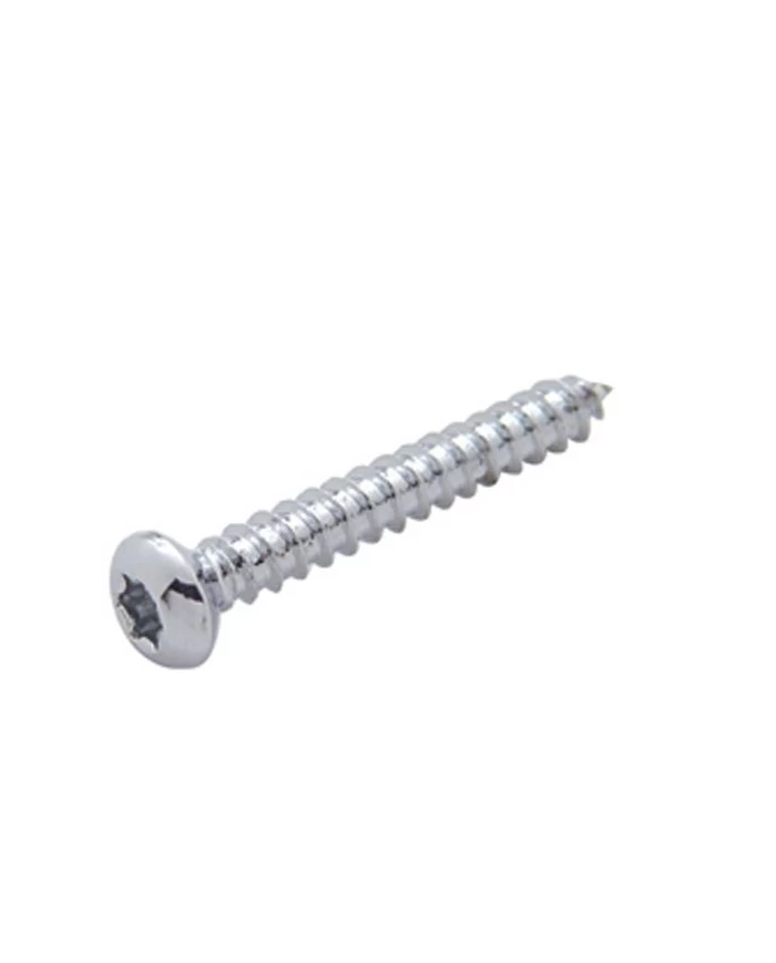 (BULK) CHROME STAINLESS STEEL KENWORTH SPEAKER COVER MOUNTING SCREW