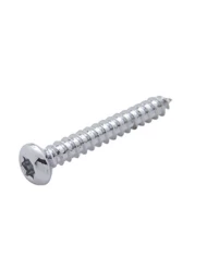 (BULK) CHROME STAINLESS STEEL KENWORTH SPEAKER COVER MOUNTING SCREW