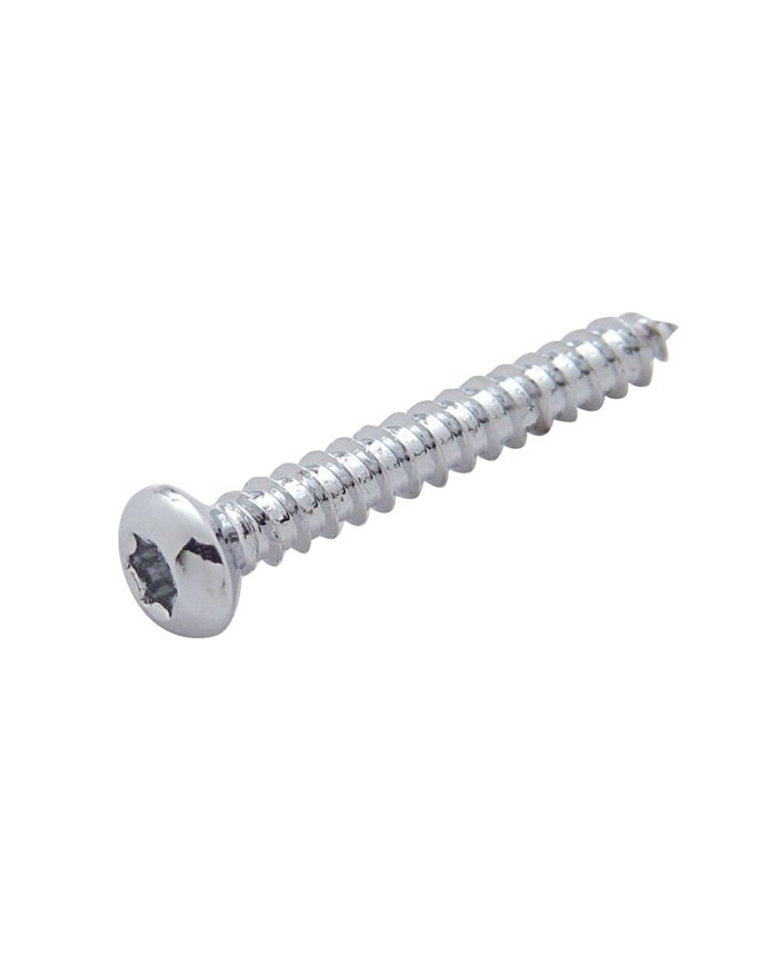 (4/CARD) CHROME STAINLESS STEEL KENWORTH SPEAKER COVER MOUNTING SCREW