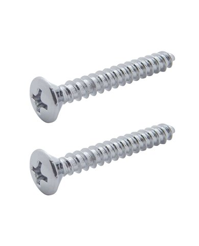 (2/CARD) CHROME STAINLESS STEEL KENWORTH DOME/MAP LIGHT COVER MOUNTING SCREW (2/CARD) CHROME STAINLESS STEEL KENWORTH DOME/MAP LIGHT COVER MOUNTING SCREW