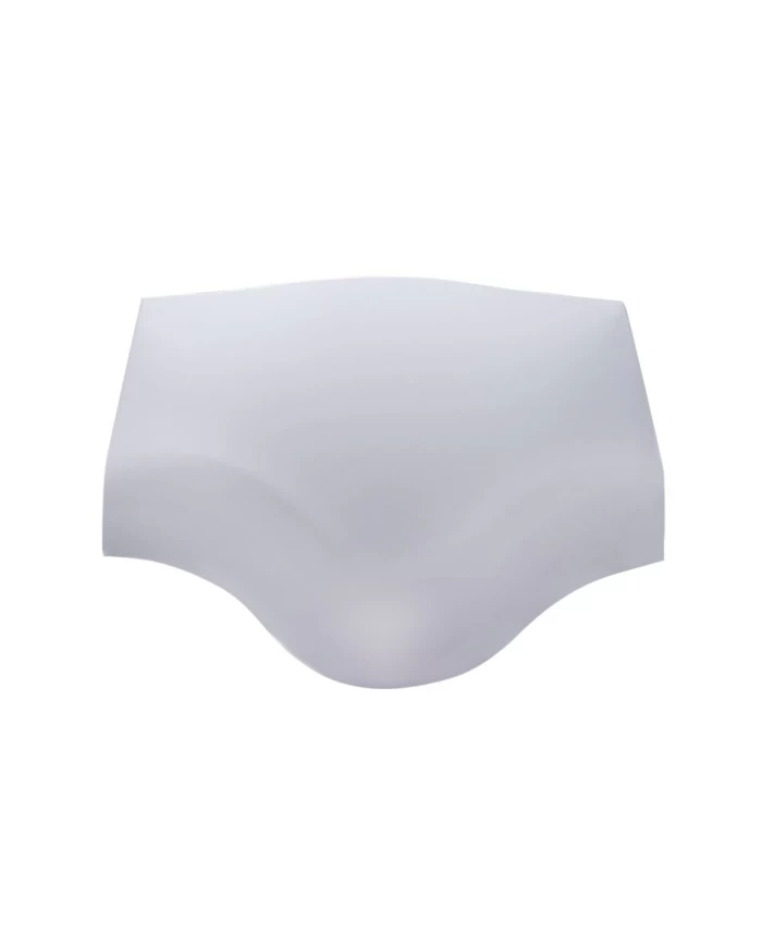 (CARD) CHROME PLASTIC FREIGHTLINER CENTURY STEERING COLUMN COVER