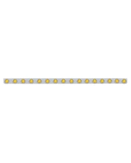 (BULK) S.S. 79.5" X 3.5" BUMPER LIGHT BRACKET W/ SIXTEEN 9 AMBER 2" "BEEHIVE" CLEARANCE/MARKER LIGHT W/ FLAT BEZEL - AMBER LENS (BULK) S.S. 79.5" X 3.5" BUMPER LIGHT BRACKET W/ SIXTEEN 9 AMBER 2" "BEEHIVE" CLEARANCE/MARKER LIGHT W/ FLAT BEZEL - AMBER LENS
