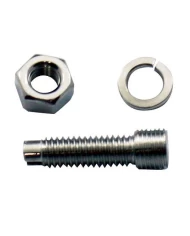 (BULK) LICENSE PLATE BOLT/NUT/WASHER