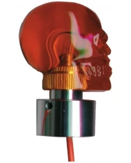 (2/CARD) SKULL GUIDE TOP - AMBER