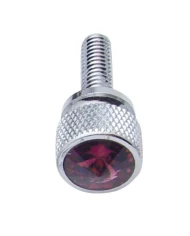 (12/CARD) CHROME KENWORTH DASH SHORT SCREWS W/ DIAMOND - PURPLE (12/CARD) CHROME KENWORTH DASH SHORT SCREWS W/ DIAMOND - PURPLE