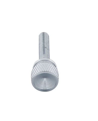 (BULK) CHROME KENWORTH DASH LONG SCREWS - INDENTED (BULK) CHROME KENWORTH DASH LONG SCREWS - INDENTED