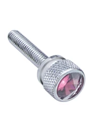 (12/CARD) CHROME KENWORTH DASH LONG SCREWS W/ DIAMOND - PURPLE (12/CARD) CHROME KENWORTH DASH LONG SCREWS W/ DIAMOND - PURPLE
