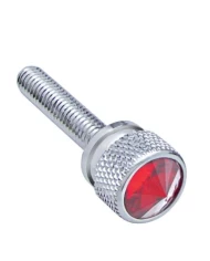 (12/CARD) CHROME KENWORTH DASH LONG SCREWS W/ DIAMOND - RED (12/CARD) CHROME KENWORTH DASH LONG SCREWS W/ DIAMOND - RED