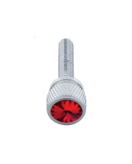 (2/CARD) CHROME KENWORTH DASH LONG SCREWS W/ DIAMOND - RED (2/CARD) CHROME KENWORTH DASH LONG SCREWS W/ DIAMOND - RED