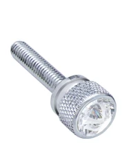 (BULK) CHROME KENWORTH DASH LONG SCREWS W/ DIAMOND - CLEAR (BULK) CHROME KENWORTH DASH LONG SCREWS W/ DIAMOND - CLEAR