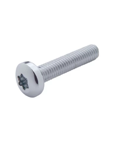 (12/CARD) CHROME KENWORTH OEM DASH LONG SCREW (12/CARD) CHROME KENWORTH OEM DASH LONG SCREW