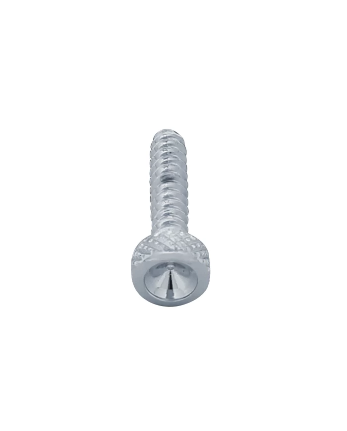 (BULK) CHROME FREIGHTLINER SHORT DASH SCREW - INDENTED