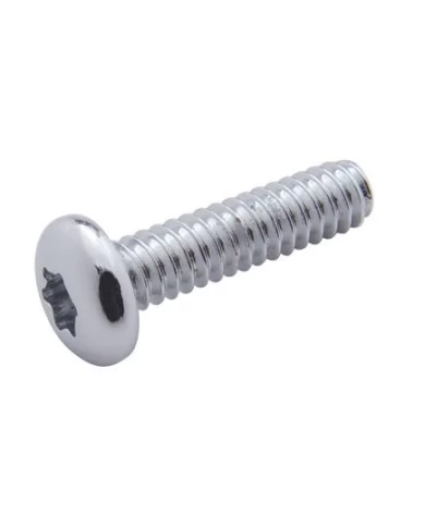 (22/CARD) CHROME STAINLESS STEEL 2001+ PETERBILT OEM DASH SCREW (22/CARD) CHROME STAINLESS STEEL 2001+ PETERBILT OEM DASH SCREW