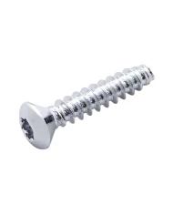 (BULK) CHROME FREIGHTLINER OEM DASH SCREW (BULK) CHROME FREIGHTLINER OEM DASH SCREW