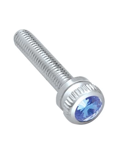 (BULK) CHROME 2002 KENWORTH DASH SCREW W/ DIAMOND - BLUE (BULK) CHROME 2002 KENWORTH DASH SCREW W/ DIAMOND - BLUE