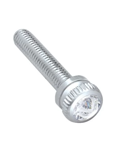 (6/CARD) CHROME 2002 KENWORTH DASH SCREW W/ DIAMOND - CLEAR (6/CARD) CHROME 2002 KENWORTH DASH SCREW W/ DIAMOND - CLEAR