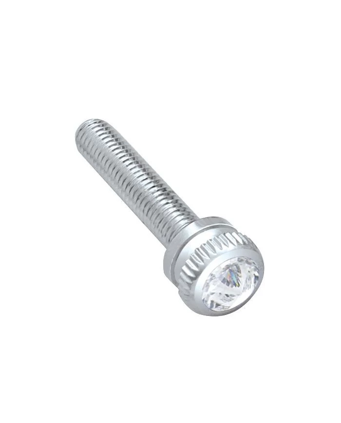 (6/CARD) CHROME 2002 KENWORTH DASH SCREW W/ DIAMOND - CLEAR (6/CARD) CHROME 2002 KENWORTH DASH SCREW W/ DIAMOND - CLEAR