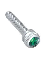 (BULK) CHROME 2002 KENWORTH DASH SCREW W/ DIAMOND - GREEN (BULK) CHROME 2002 KENWORTH DASH SCREW W/ DIAMOND - GREEN