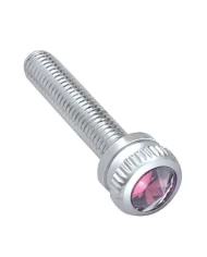 (BULK) CHROME 2002 KENWORTH DASH SCREW W/ DIAMOND - PURPLE (BULK) CHROME 2002 KENWORTH DASH SCREW W/ DIAMOND - PURPLE