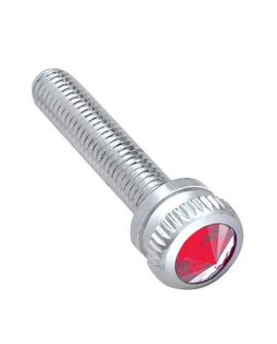 (BULK) CHROME 2002 KENWORTH DASH SCREW W/ DIAMOND - RED (BULK) CHROME 2002 KENWORTH DASH SCREW W/ DIAMOND - RED