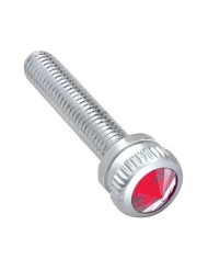 (BULK) CHROME 2002 KENWORTH DASH SCREW W/ DIAMOND - RED (BULK) CHROME 2002 KENWORTH DASH SCREW W/ DIAMOND - RED