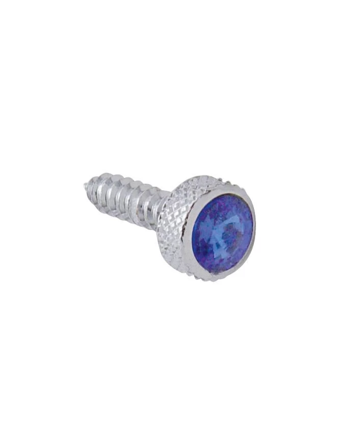 (6/CARD) CHROME KENWORTH UPPER DASH SCREW W/ DIAMOND - BLUE (6/CARD) CHROME KENWORTH UPPER DASH SCREW W/ DIAMOND - BLUE