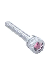 (2/CARD) CHROME FREIGHTLINER LONG DASH SCREW W/ DIAMOND - PURPLE