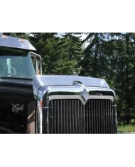 (BOX) STAINLESS INTERNATIONAL 9900 SERIES/5900I SFA BUG DEFLECTOR (BOX) STAINLESS INTERNATIONAL 9900 SERIES/5900I SFA BUG DEFLECTOR
