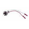 UP34200-Tail Light Bulb Holder