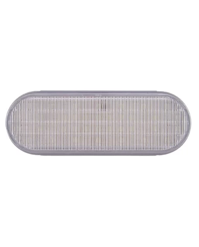 (CARD) 36 WHITE LED OVAL BACK-UP LIGHT - CLEAR LENS (CARD) 36 WHITE LED OVAL BACK-UP LIGHT - CLEAR LENS