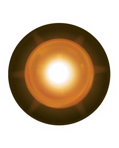 GG81251 - AMBER 1-LED SNAKE LED LIGHT W/ HARD WIRED LEAD GG81251 - AMBER 1-LED SNAKE LED LIGHT W/ HARD WIRED LEAD