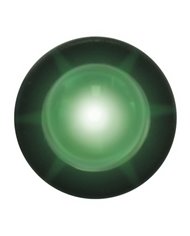 GG81253 - GREEN 1-LED SNAKE LED LIGHT W/ HARD WIRED LEAD