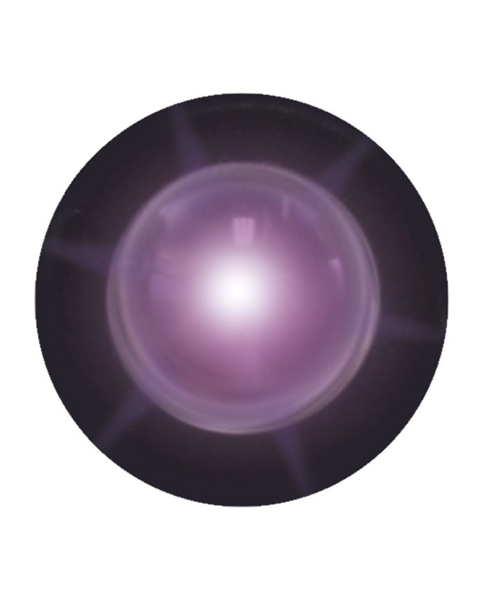 GG81254 - PURPLE 1-LED SNAKE LED LIGHT W/ HARD WIRED LEAD