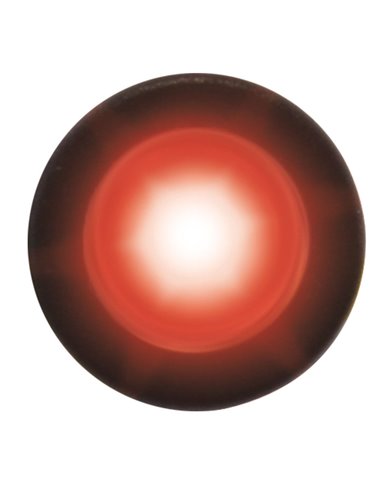 GG81255 - RED 1-LED SNAKE LED LIGHT W/ HARD WIRED LEAD GG81255 - RED 1-LED SNAKE LED LIGHT W/ HARD WIRED LEAD